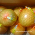 High Quality of New Crop Fresh Honey Pomelo